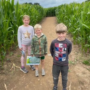 LichfieldMaizeMaze_Square6