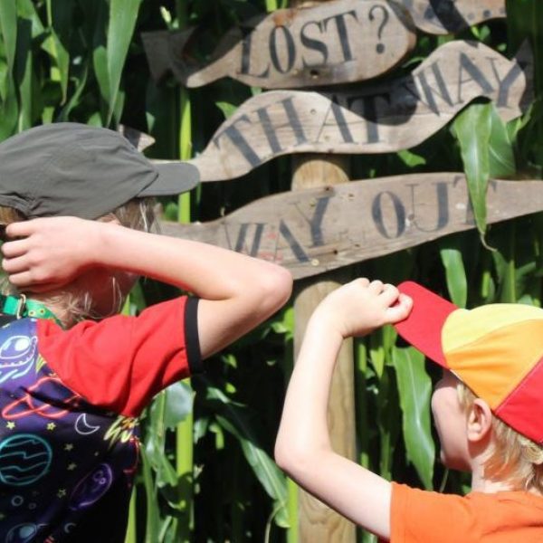 Miazemaze