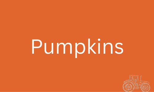 Pumpkins