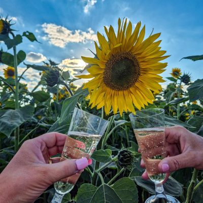 WhatsApp Image 2025-11-11 at 17.23.21_5a23862a